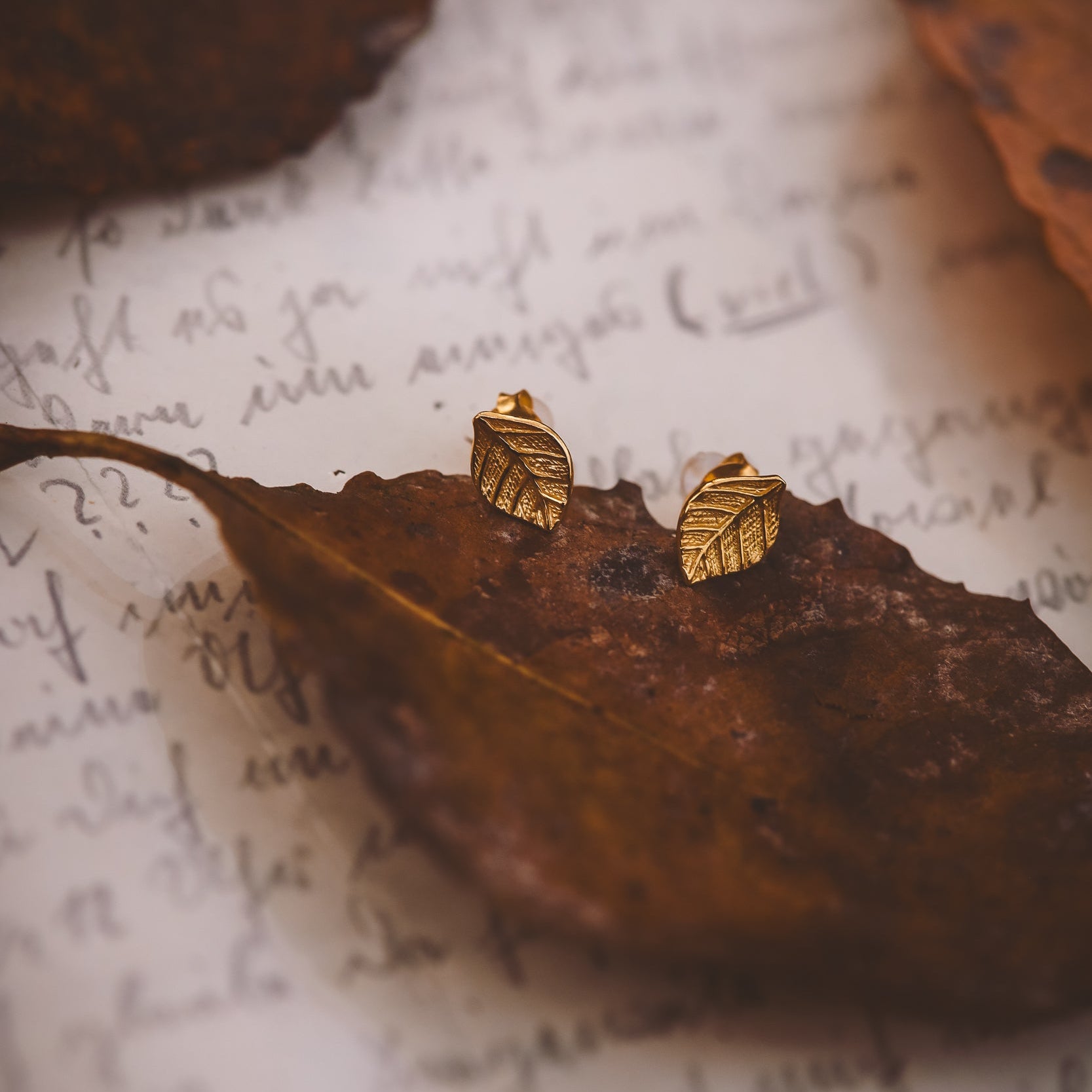 OHRSTECKER KLEINES BLATT