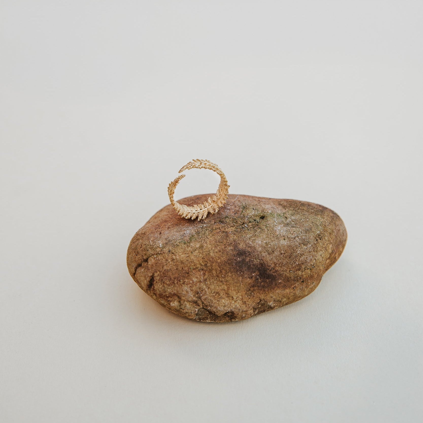 RING FARN