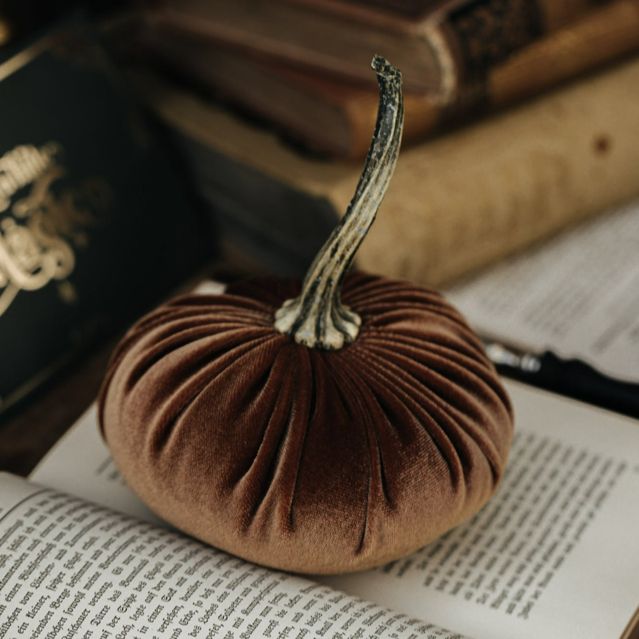 VELVET PUMPKIN BRONZE