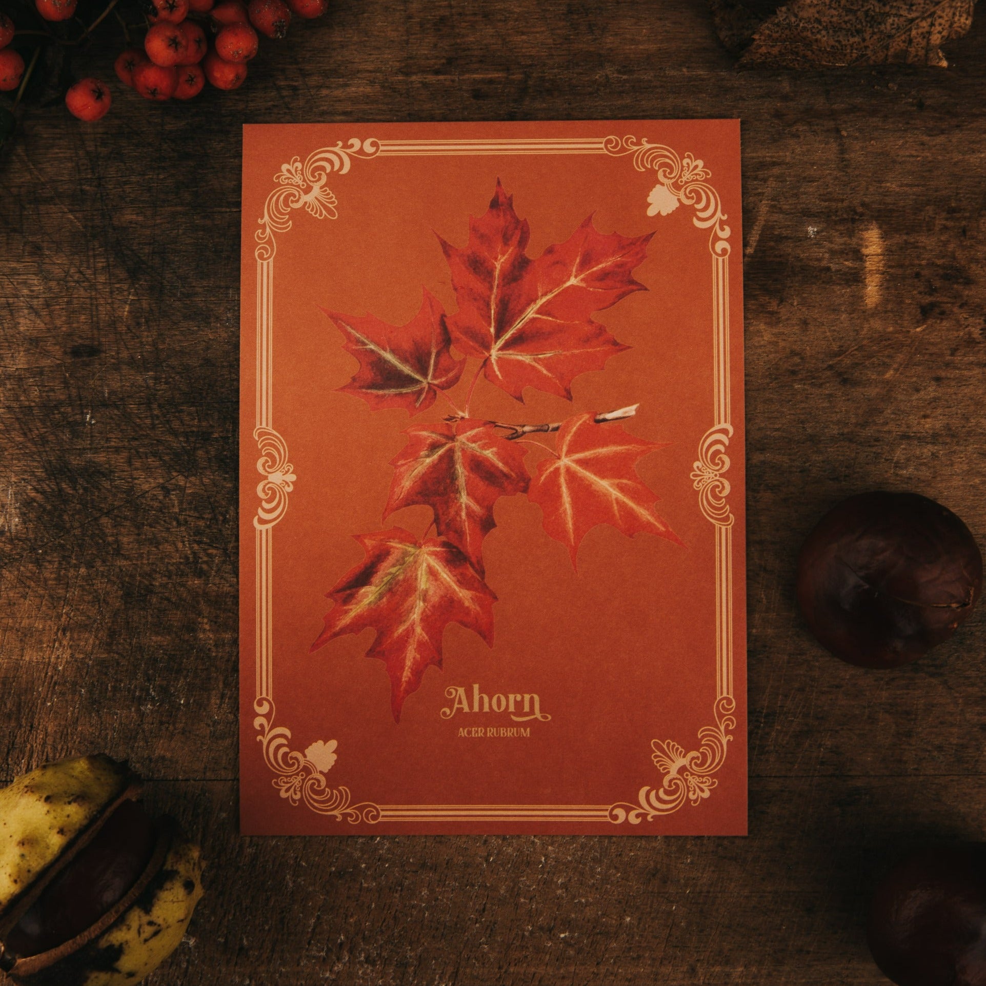 POSTCARD SET AUTUMN WHISPERS