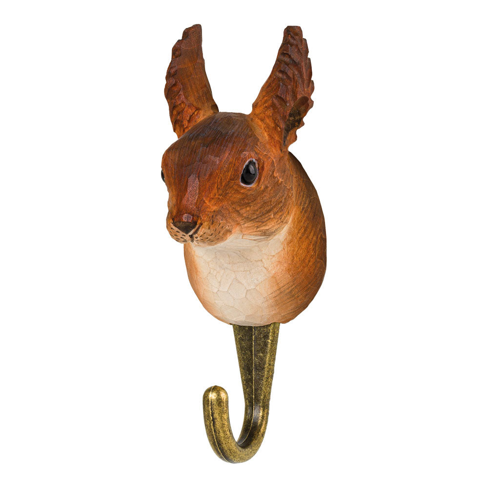 HAKEN EICHHÖRNCHEN