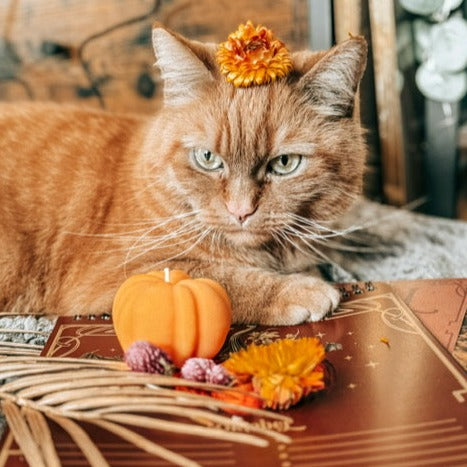 Pumpkin candle 