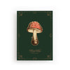 POSTCARD FLY MUSHROOM