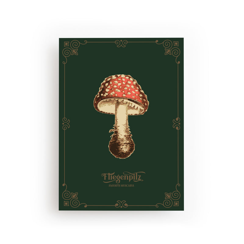 POSTCARD FLY MUSHROOM