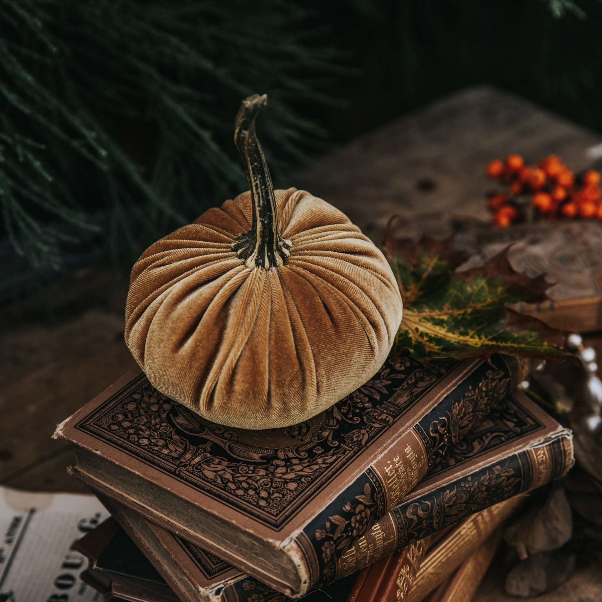 VELVET PUMPKIN GOLD