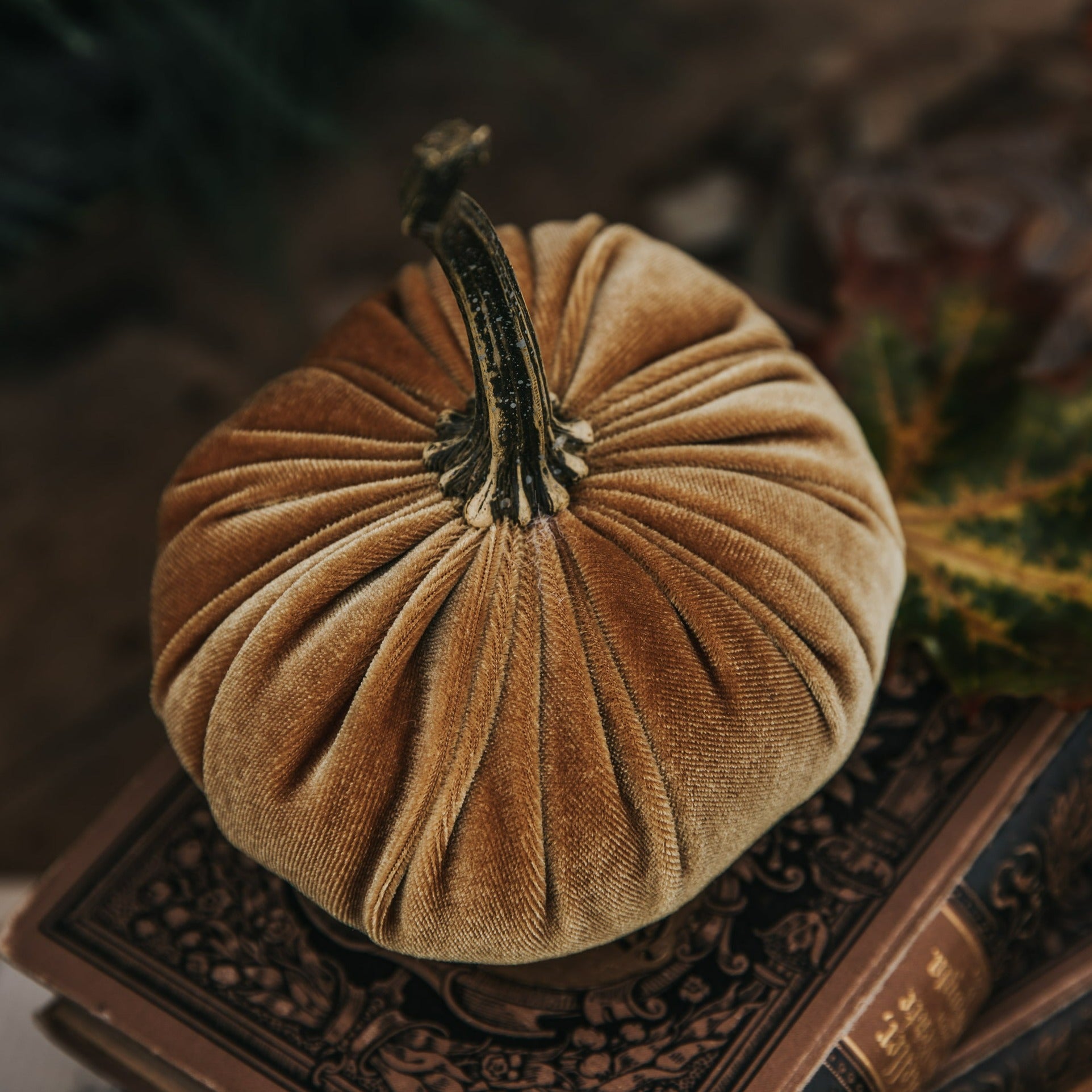VELVET PUMPKIN GOLD