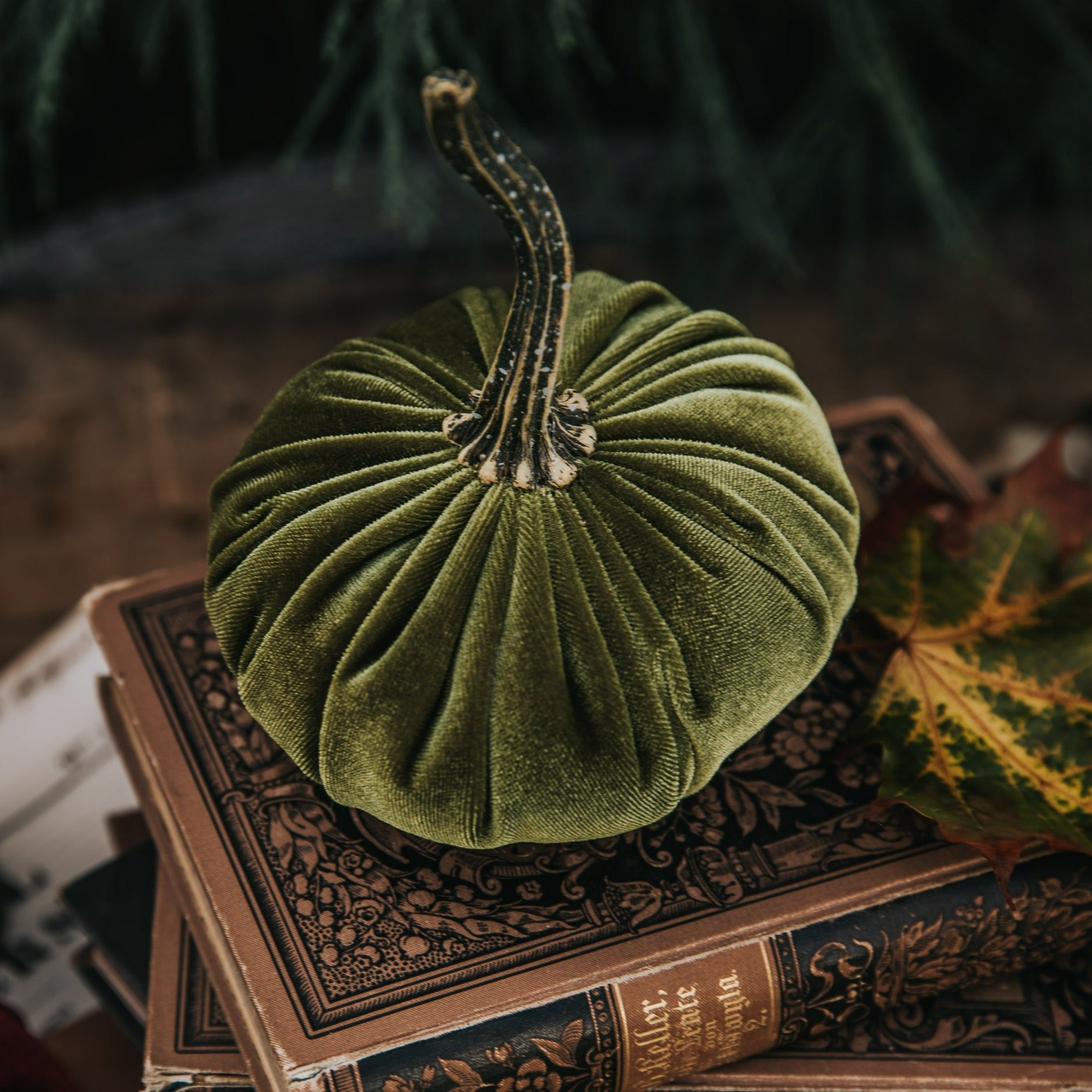 VELVET PUMPKIN LIGHT GREEN