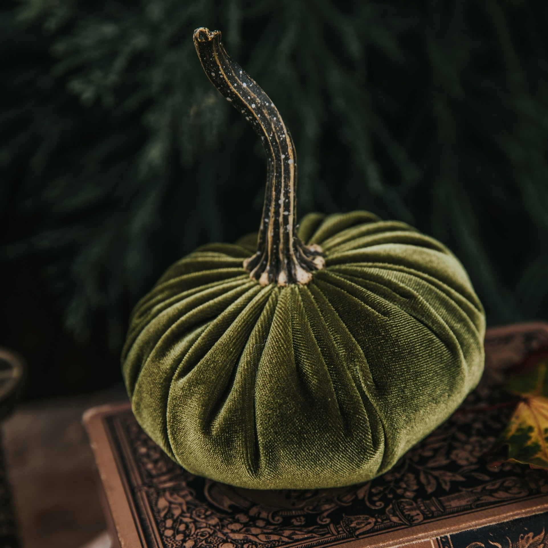 VELVET PUMPKIN LIGHT GREEN