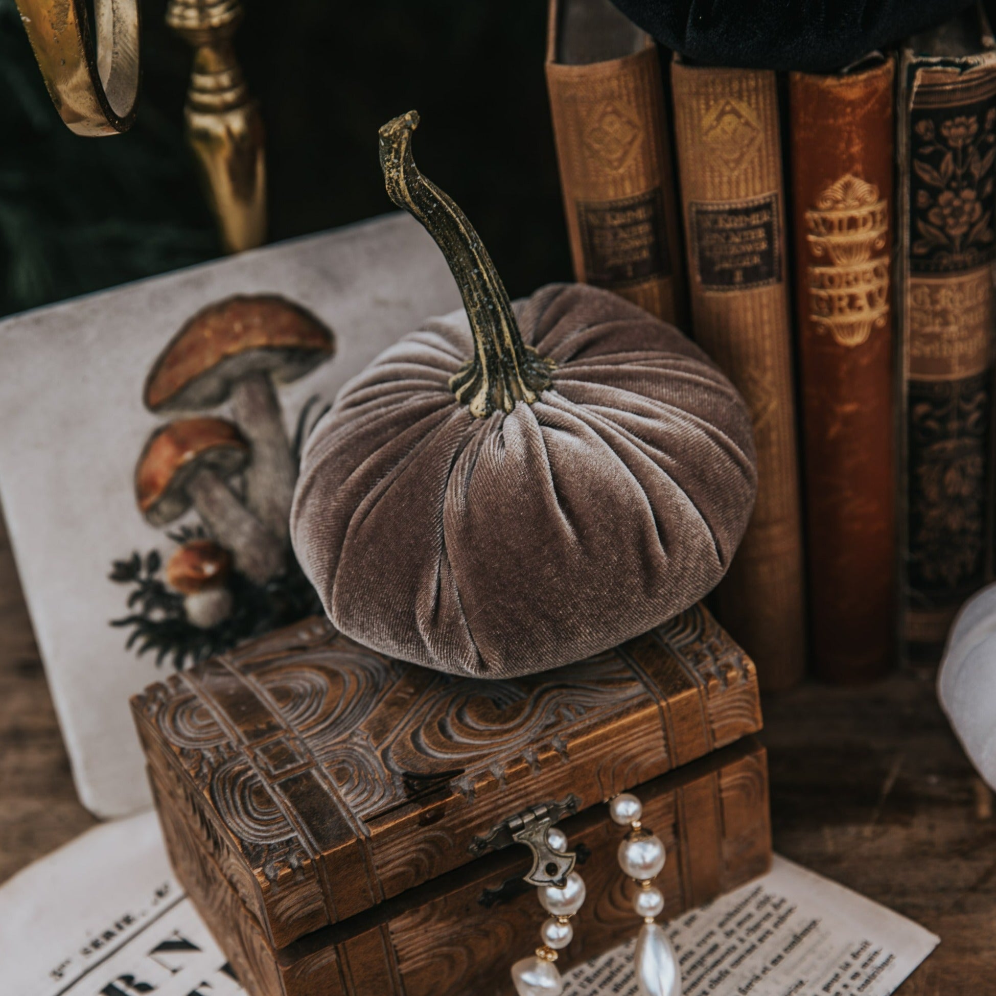 VELVET PUMPKIN TAUPE