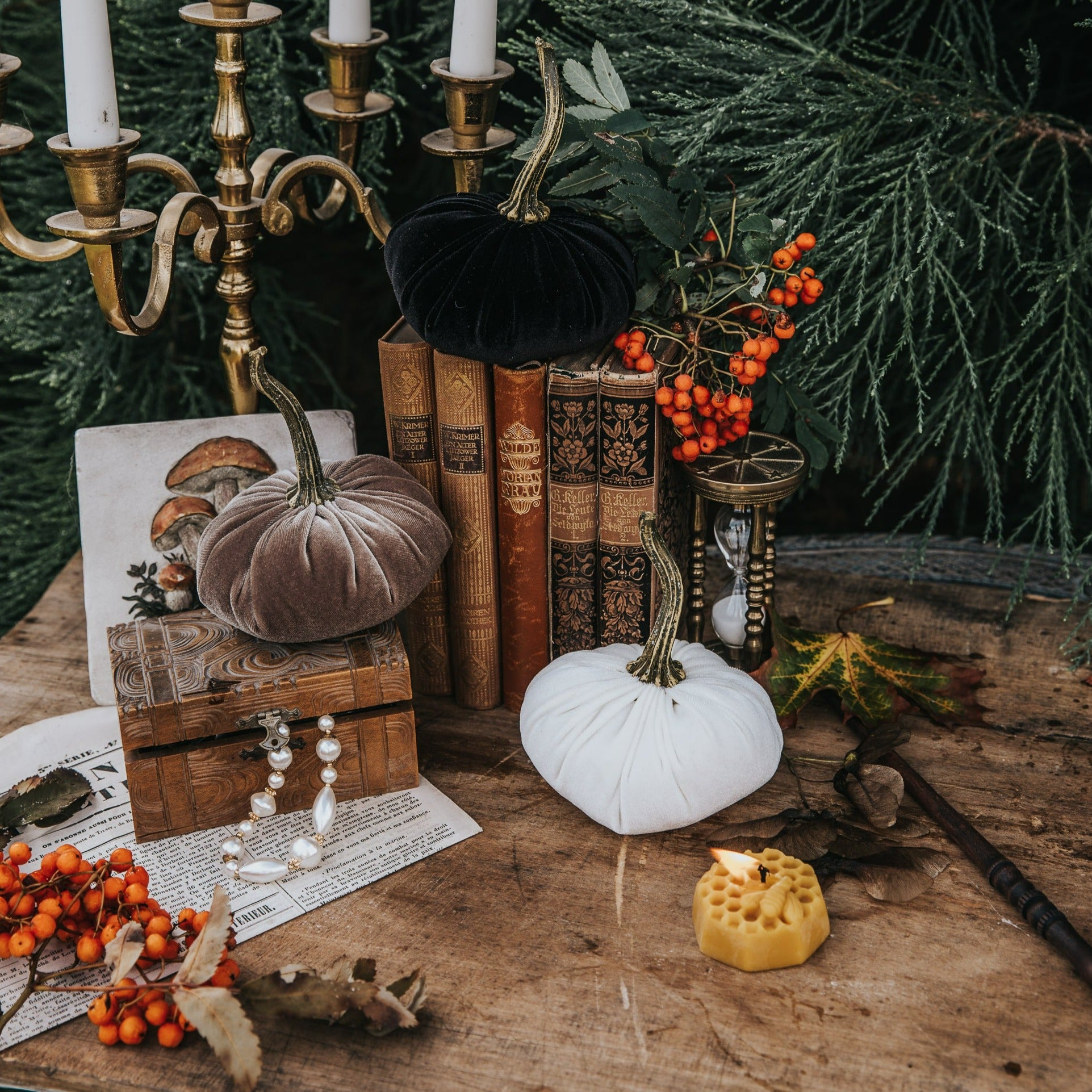 VELVET PUMPKIN TAUPE