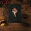 POSTCARD FLY MUSHROOM