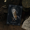 POSTCARD OWL and MOON