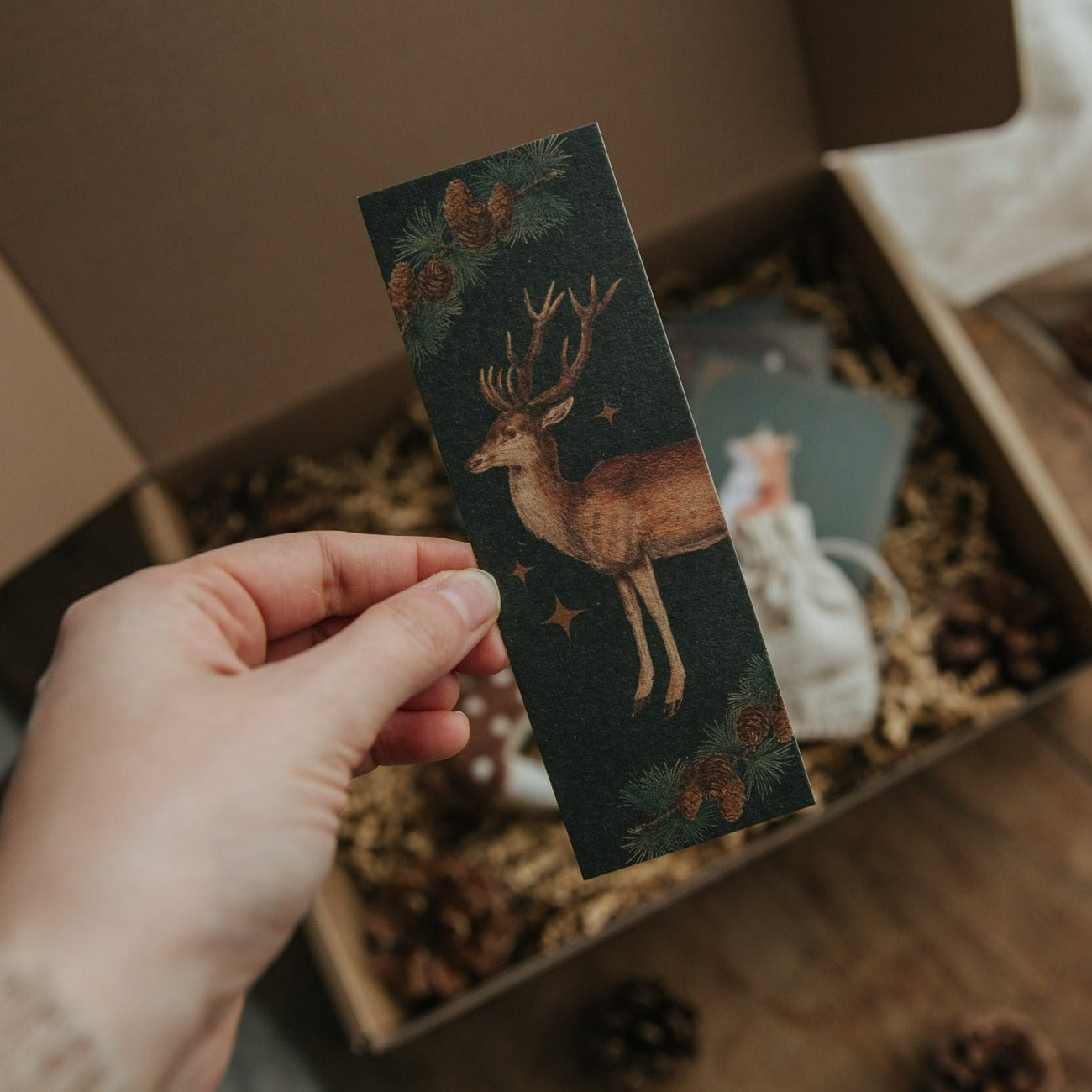 GIFT PACKAGE FOREST
