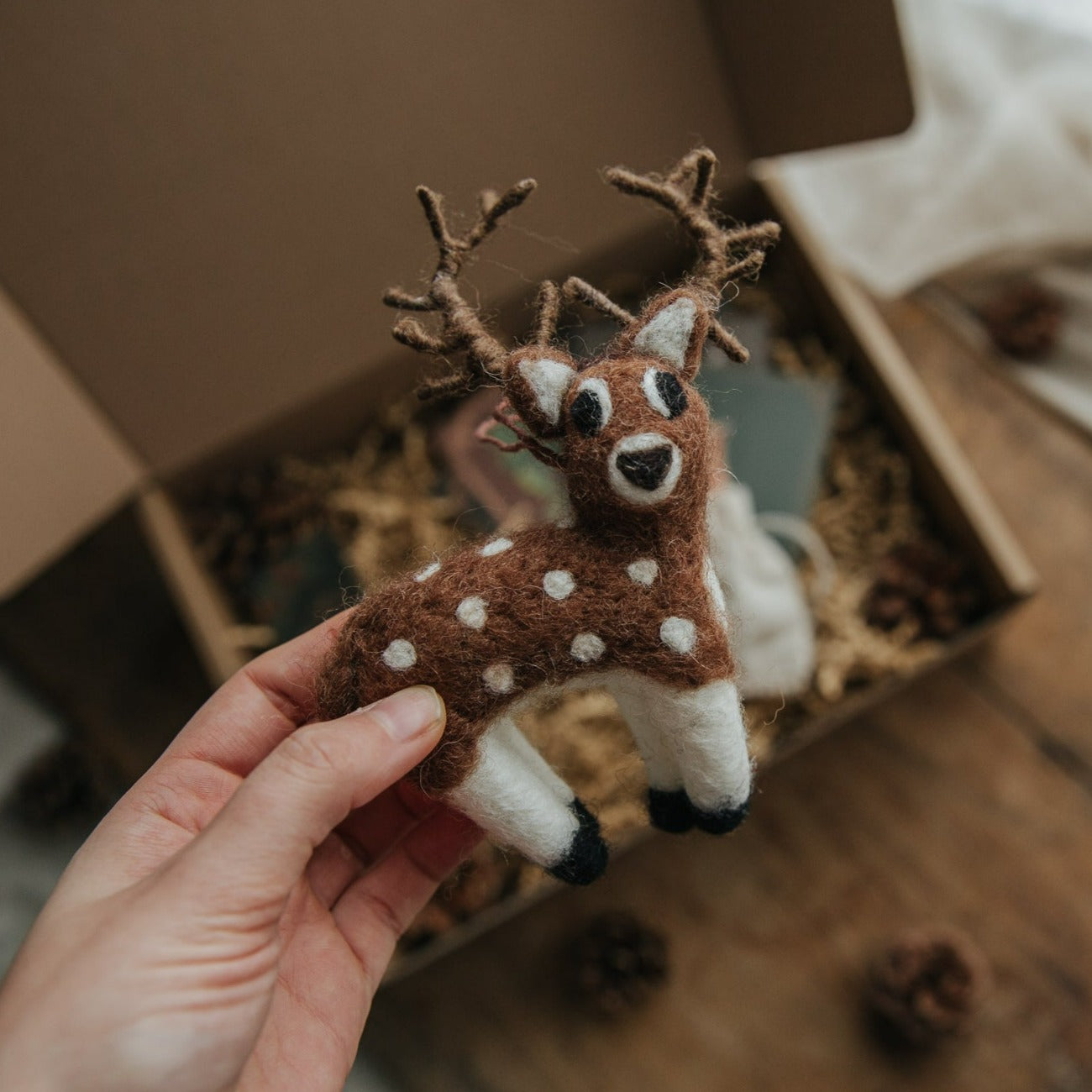 GIFT PACKAGE FOREST