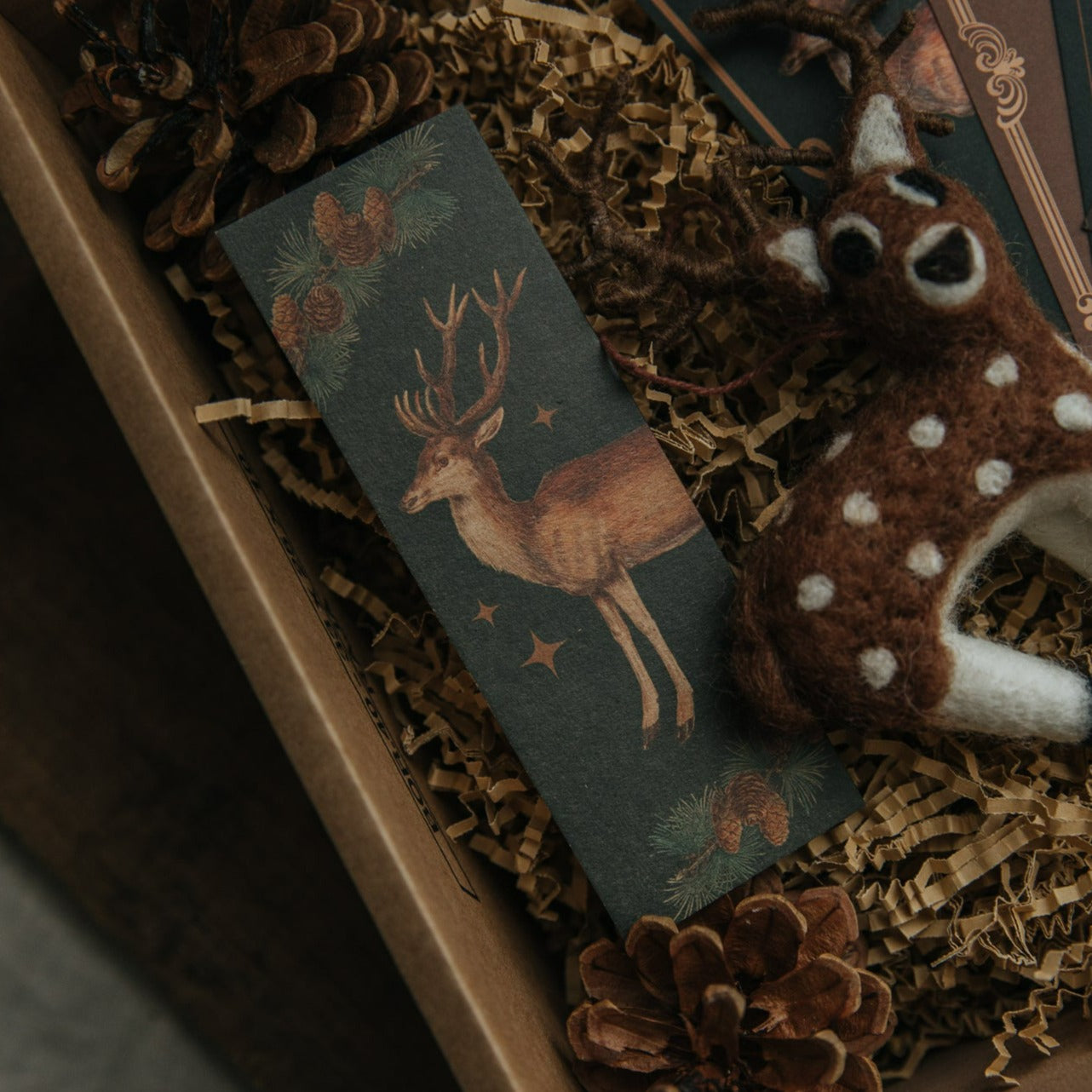 GIFT PACKAGE FOREST