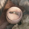 RING BINANDA II