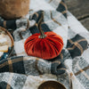 VELVET PUMPKIN ORANGE