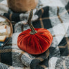 VELVET PUMPKIN ORANGE
