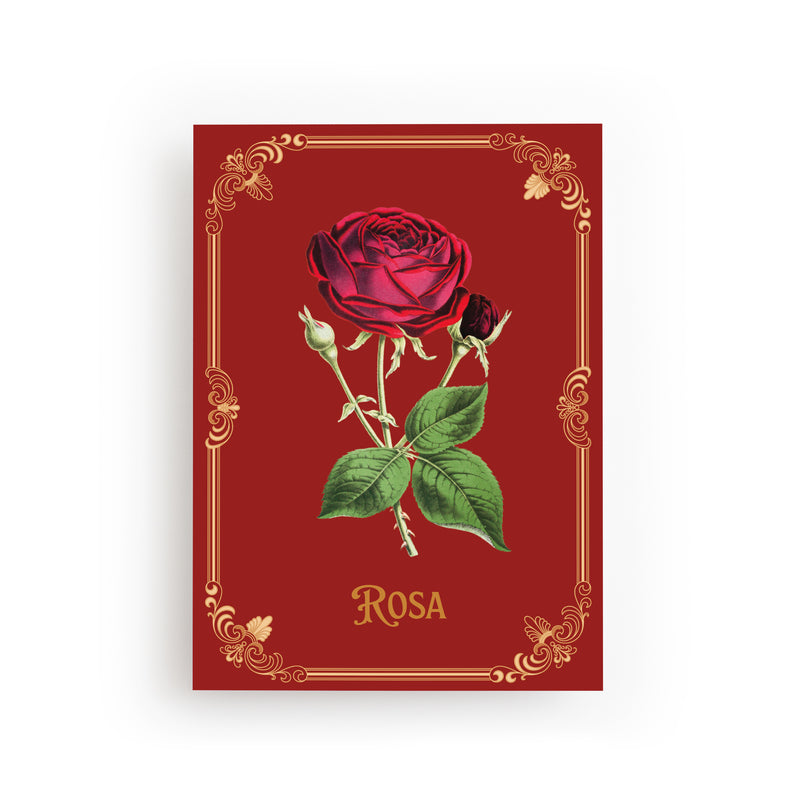 POSTKARTE ROSE