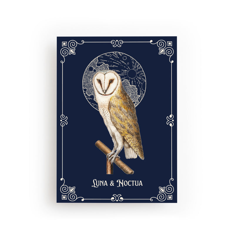 POSTCARD OWL and MOON