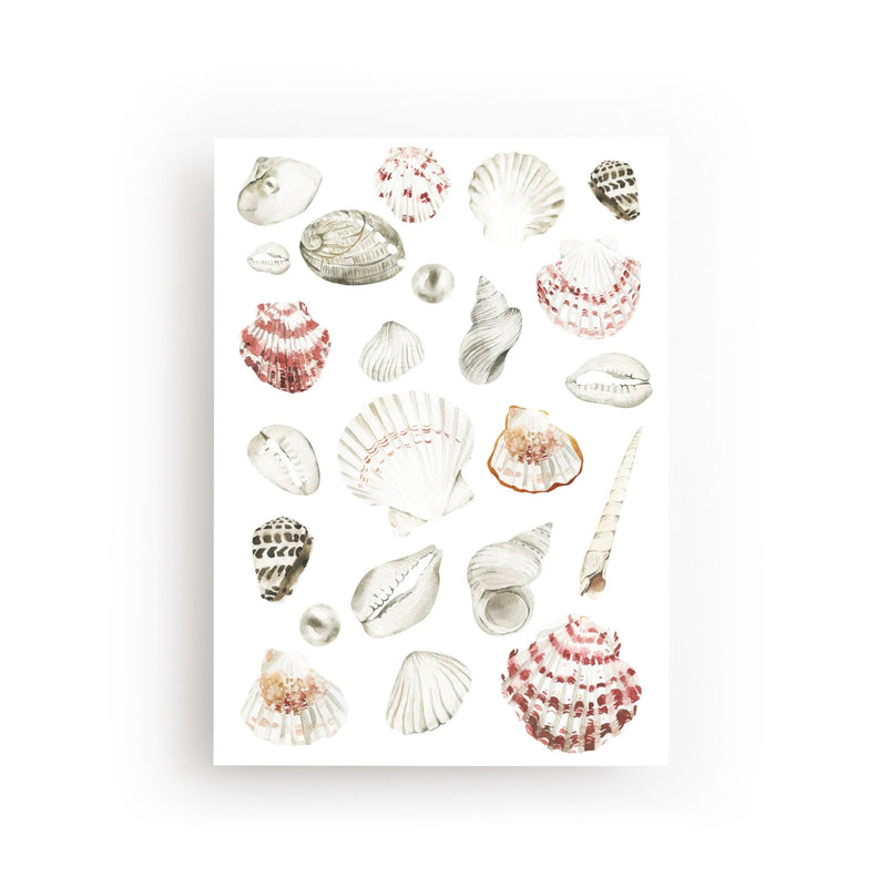 POSTKARTE MUSCHELN - FLEURISCOEUR-